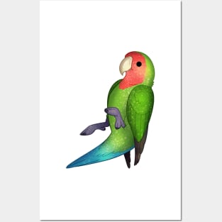 Cozy Lovebird Posters and Art